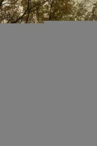 Безымянные 1 сезон